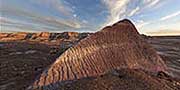 Petrified Forest National Park